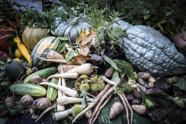 dierendonck_jam_â©_kris_vlegels_0096BF79976-D97A-084B-51D6-B2CE65A9E4FD.jpg